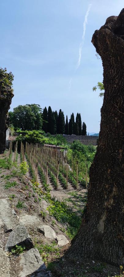 Villa Allegra 비지나다 외부 사진